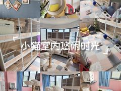 -珠海悠米米努特矮脚猫舍