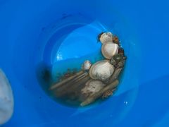 -刘家湾赶海园