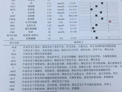 -联合动物医院(光谷诊疗中心)