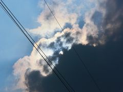 -晓港公园