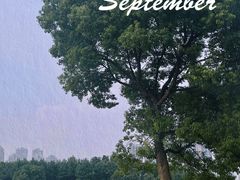 -山明水秀大饭店