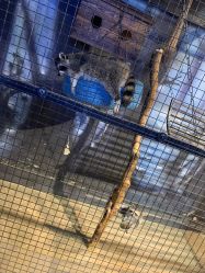 -酷嗒动物文化乐园(cutezoo西溪乐天城店)