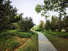 -黄兴公园