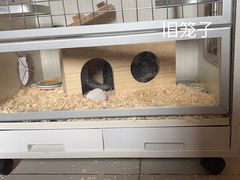 -龙猫仔乐园(惠福东路店)