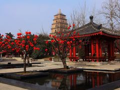 -大雁塔北广场音乐喷泉