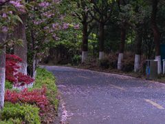 -三山岛