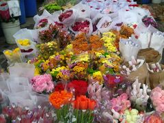 -秦美花卉(天朗·莱茵小城2期店)