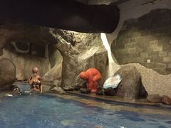 -晋爵会游泳馆(海湾公园店)