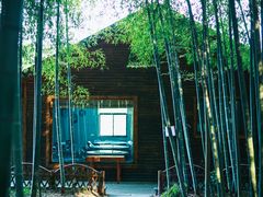 -龙寺生态园