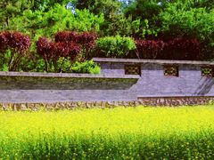 -北坞公园