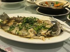 -金唐海鲜酒家