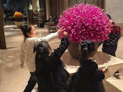 -丽晶轩中餐厅(重庆丽晶酒店)