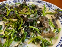 -大顺堂食府(牛街店)