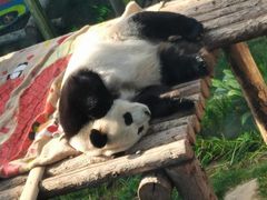 -大连森林动物园