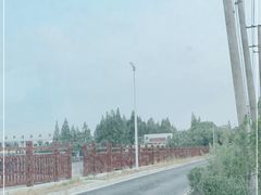 -樂桃源奉贤黄桃种植采摘基地