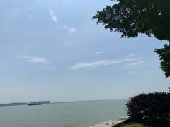-大湾区中央湿地公园