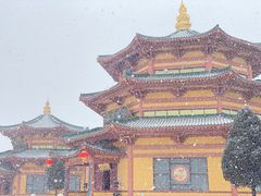-龙口南山旅游景区