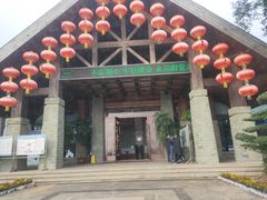 -铁山坪森林公园