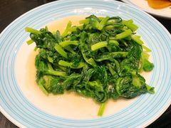 清炒豆尖-翠湖轩中餐厅(昆明翠湖宾馆店)