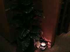 -智慧盲人按摩艾灸-颈肩腰膝疼痛调理(浦东店)