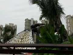 -亚马逊丛林水乐园