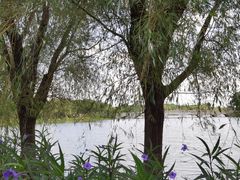 -昆山城市生态森林公园