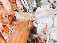 -必点蒸汽海鲜(止锚湾店)