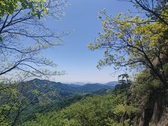 -六里坪国家森林公园