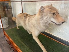 -宁海食府(北岸琴森店)