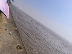 -观潮胜地公园