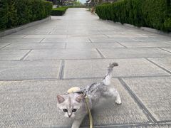 -清凉寺
