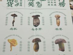 -菌歌野生菌火锅(海埂大坝店)