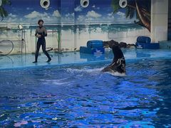 -合肥海洋世界