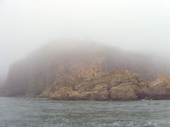 -长岛万鸟岛