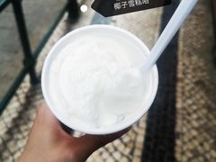-洪馨椰子