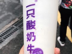 -一只酸奶牛(八一路店)