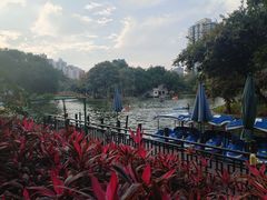 -晓港公园