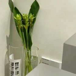 -凡碧诗毛孔清洁收细