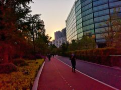 -北外滩滨江绿地