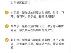-圣淘沙天际线斜坡滑车