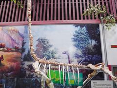 -游龙石文化科普馆