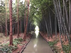 -同里国家湿地公园