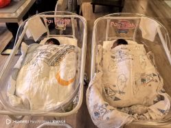 -巍阁高端月子会所