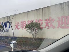 -光明驾校·学车·陪驾(杨浦店)