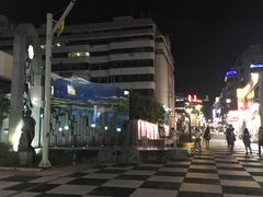 -宝健路步行街(Pedestrian Shopping Street)