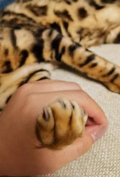 -如一·美甲美睫