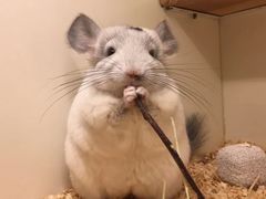 -龙猫仔乐园(惠福东路店)