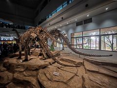 -自贡恐龙博物馆