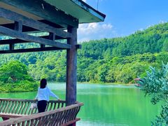 -广州白江湖森林公园