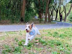 -广富林郊野公园